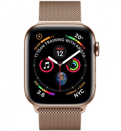 Apple Watch Series 4 Cellular, корпус 40 мм из нержавеющей стали, золотистый миланский сетчатый браслет (MTVQ2) mtvq2